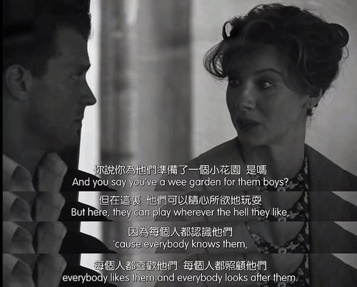 最新深情文，情感世界的深度探索与奥秘揭秘