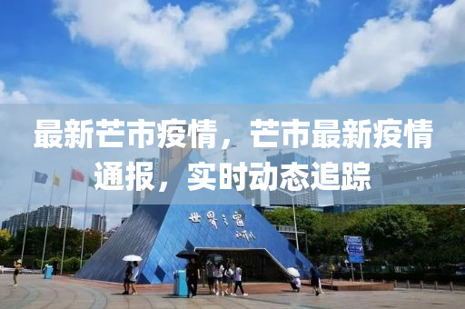 芒市最新疫情概况更新