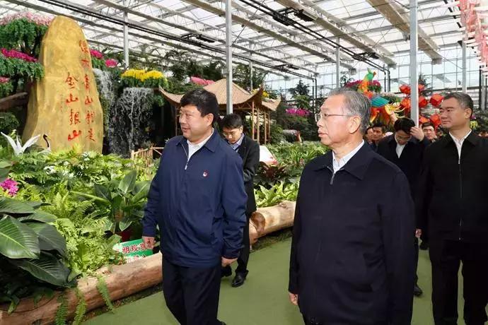 临沂最新肺，自然美景探索之旅