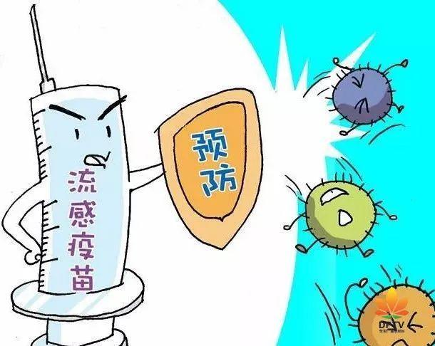 流感肺炎最新动态，论述、观点与深度分析
