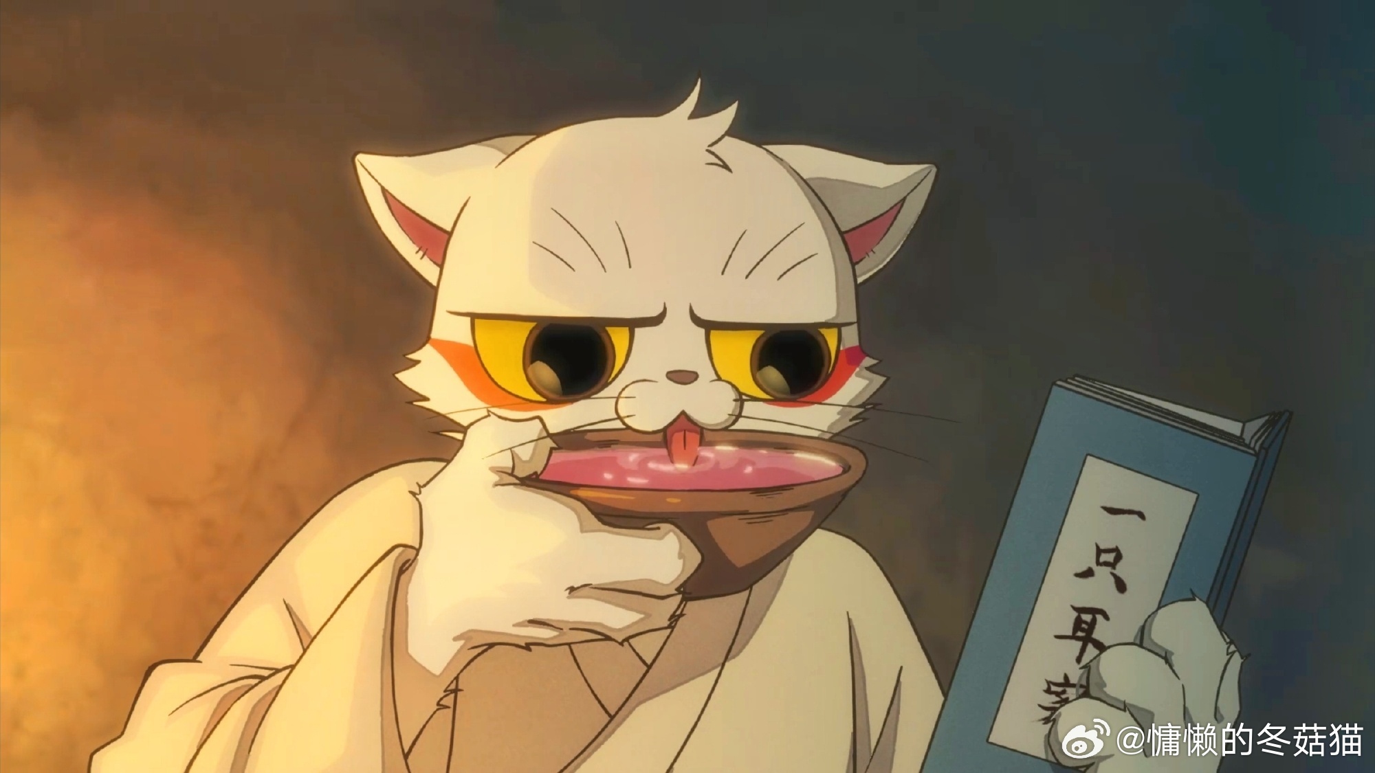 猫爷最新萌态集结，谁与争锋！