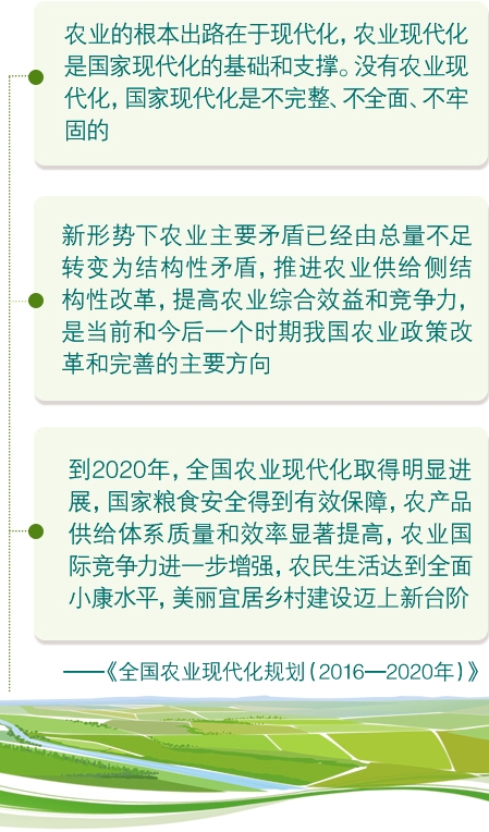 最新茶叶知识论述，现代茶叶发展的多元视角与最新动态