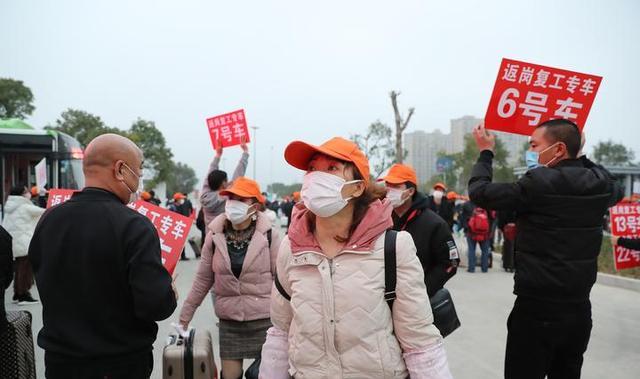 德清复工最新动态，归家喜悦与重逢欢歌