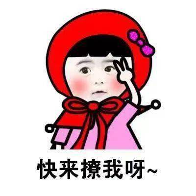 乐清最新热门岗位招聘来袭，挑战你的职业梦想！