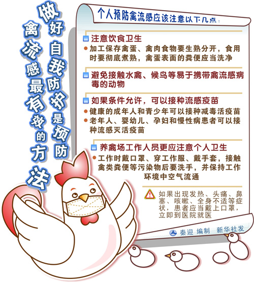 最新禽流感，你需要知道的关键信息🦆🔥