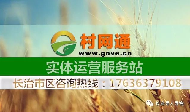 应城最新招聘信息,应城最新招聘信息与友情的温暖邂逅