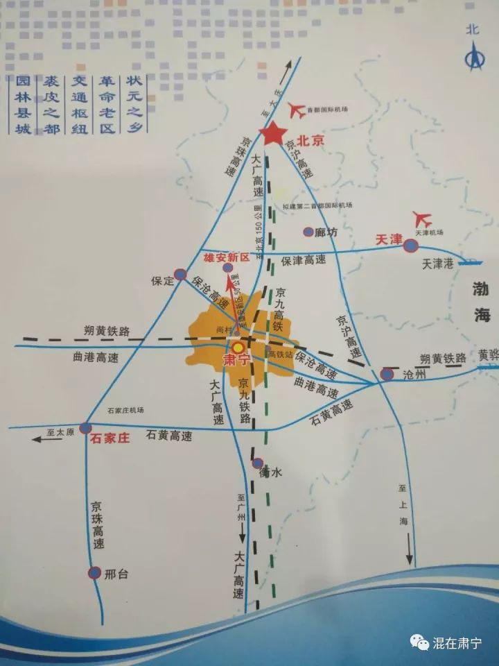 肃宁县最新动态更新✨
