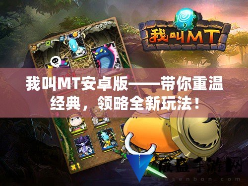 MT最新版本发布，功能更新与应用展望