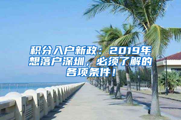 深圳积分入户最新动态，轻松启程，探索深圳自然美景的旅程