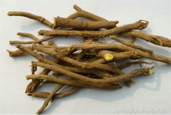 时代背景下的波动与影响，黄芩最新价格动态解析