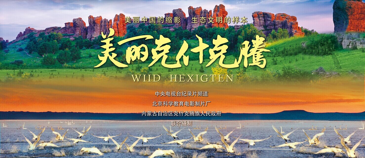 央视最新纪录片，心灵与自然的遨游之旅