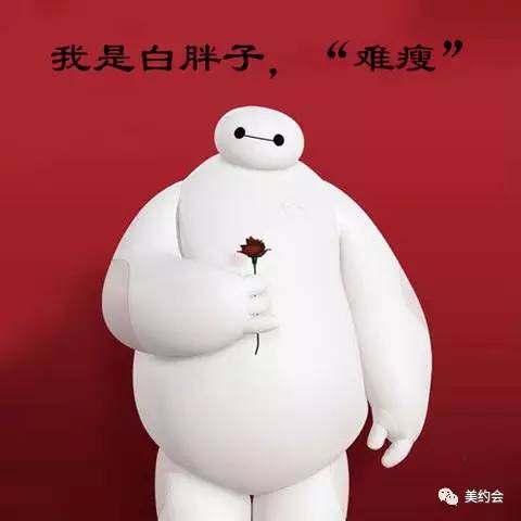 大白最新日常，温馨有趣的陪伴时刻
