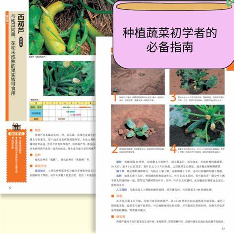 最新种植技术指南，从入门到精通的全面指导