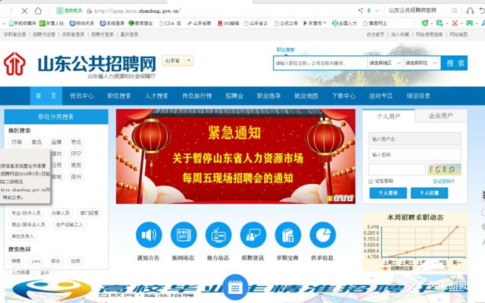 河口最新招聘信息汇总，求职步骤指南