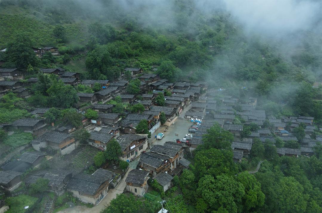 电动汽车最新政策深度解读，探寻绿色出行的小巷秘境