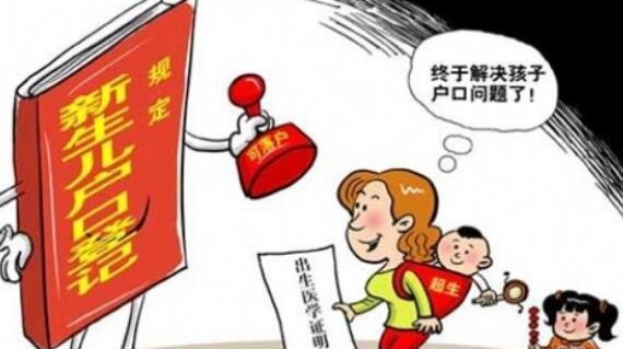 最新非婚生子政策详解，深入了解与解析