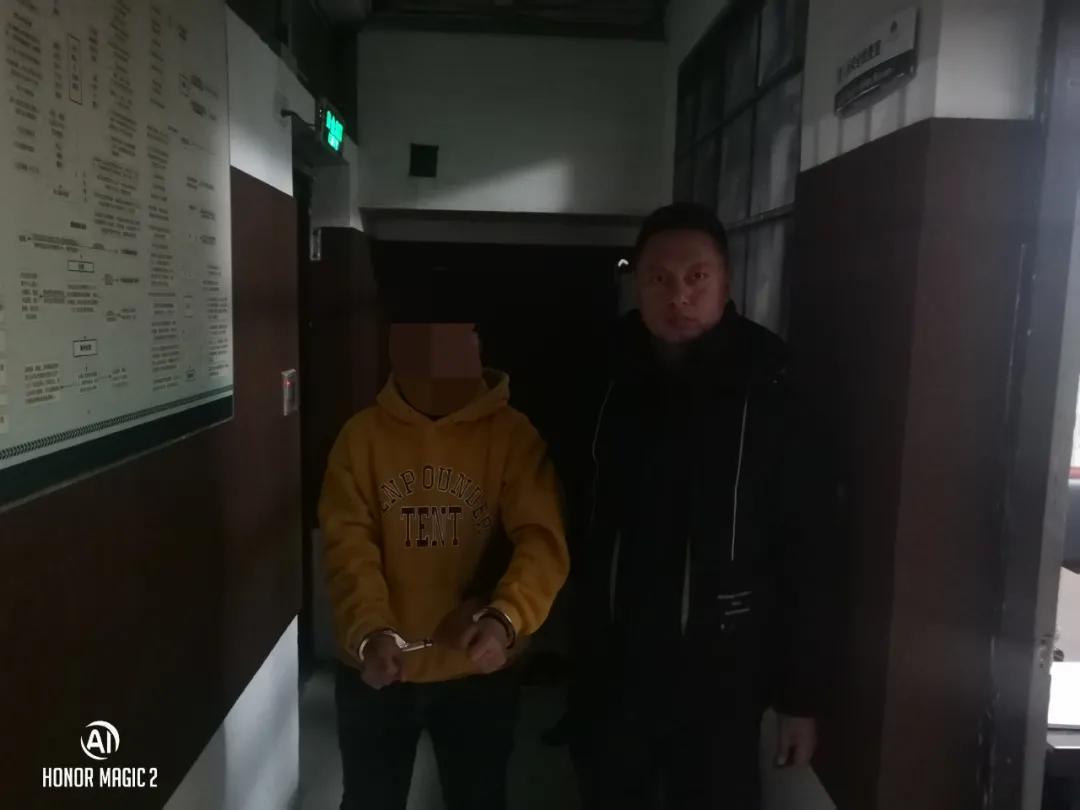湖州诈骗最新动态，深度分析与个人观点总结