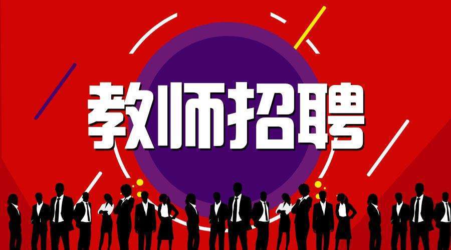 宁晋招聘网最新招聘,宁晋招聘网最新招聘——职场发展的得力助手