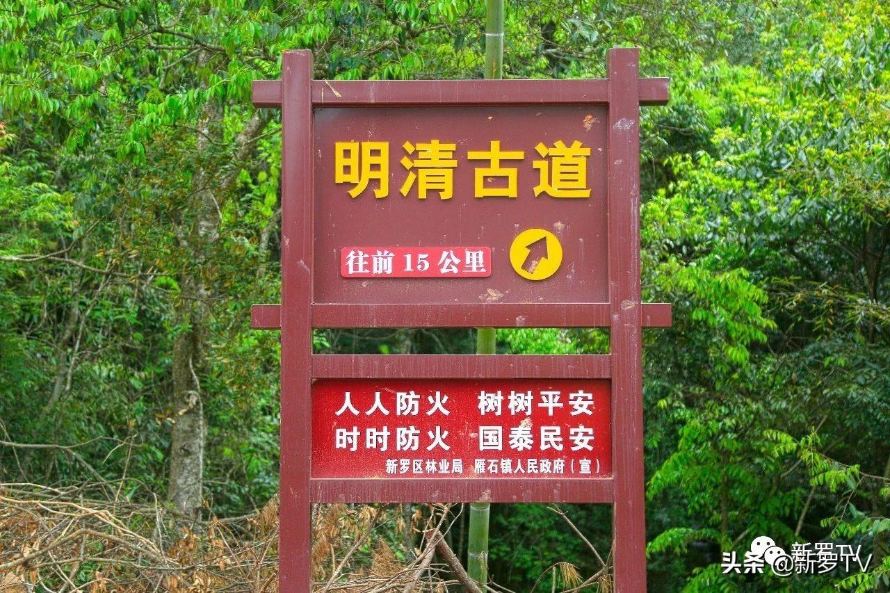 第984页