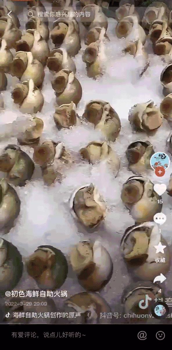 最新甜宠剧大赏，爱情的甜蜜瞬间全收录