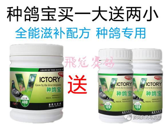 苯酚最新价格及自然美景的旅行探索