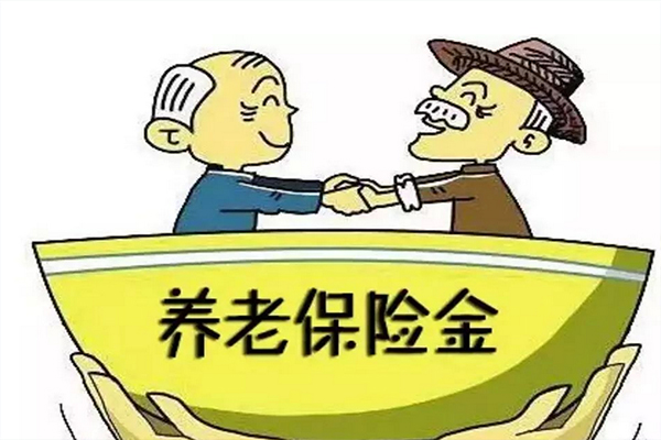 养老金最新方案揭秘，全新调整策略出炉！
