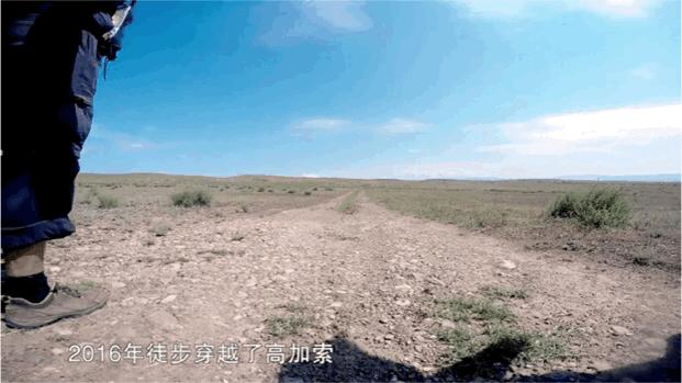 最新搞笑动态图片大赏，轻松探索自然美景的旅行之旅