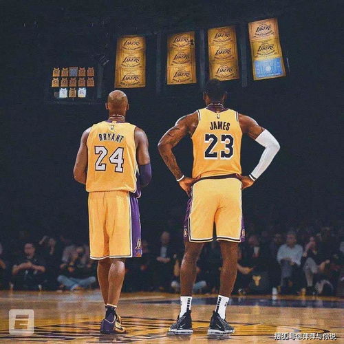 NBA历史得分榜最新排名聚焦，三大看点揭秘赛场荣耀