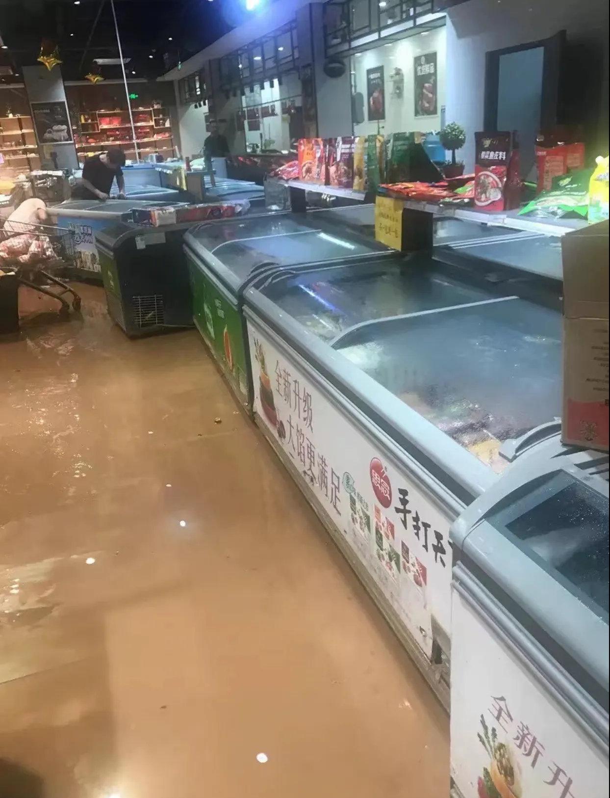 草鱼最新行情走势揭秘，价格探秘与鱼市温情日常