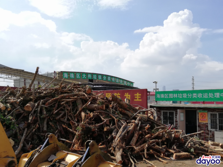 台风安比最新消息，小巷奇遇揭示特色小店的隐秘魅力