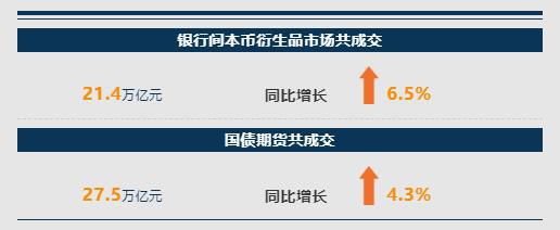 央行最新动态解析与报告发布亮点解读