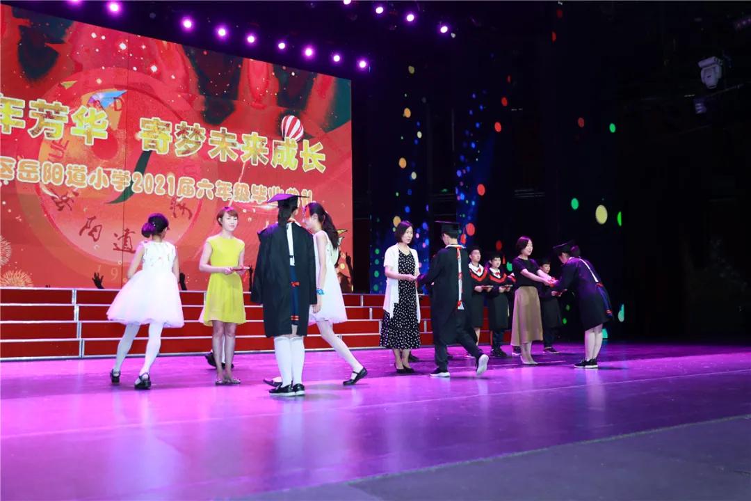 最新背景音乐，旋律中的学习与成长之力