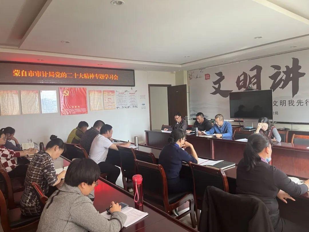 审计局最新动态，变革力量与自信成长的旋律