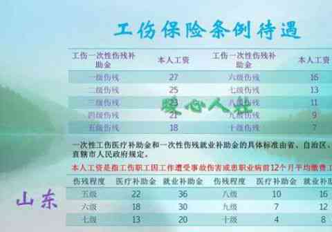 最新职工工伤待遇标准，治愈之旅探索自然美景