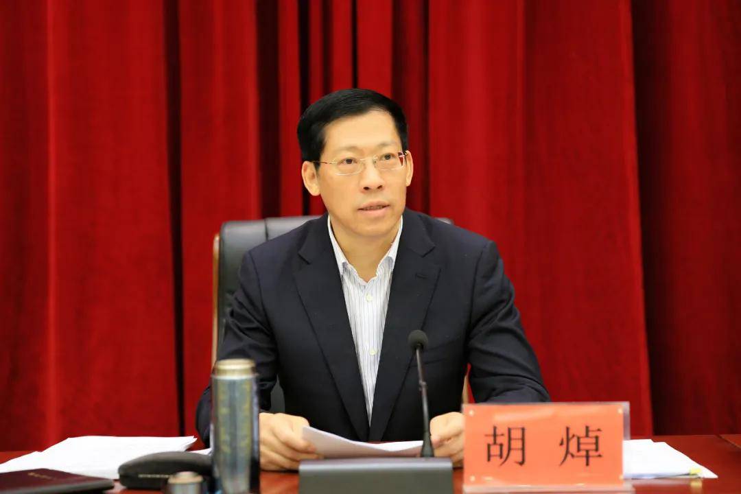 定远梅军最新动态，聚焦要点，解读发展脉络