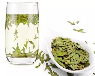 龙井茶树种植与照顾指南，最新消息及实用技巧分享