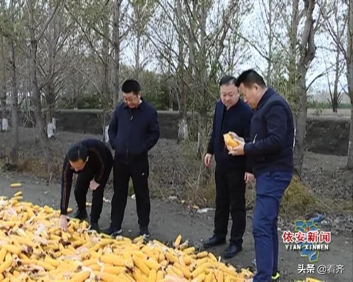 齐齐哈尔是否受最新台风影响？实时关注台风动态！