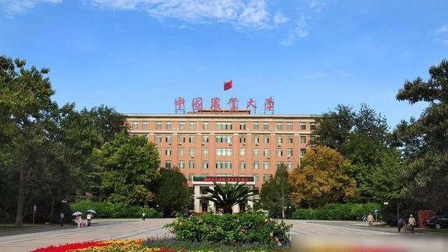 最新985高校排名，奋斗篇章，梦想照进现实
