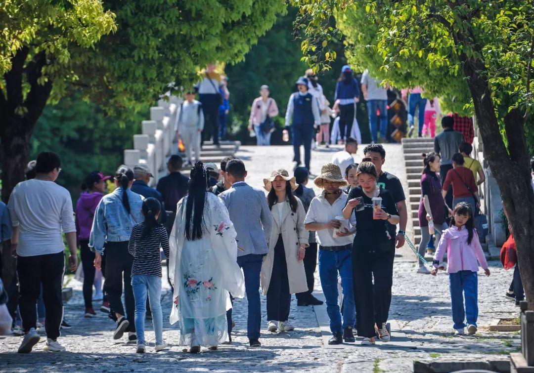 最新油价调整消息与美景旅行盛宴，启程油价变化之旅！