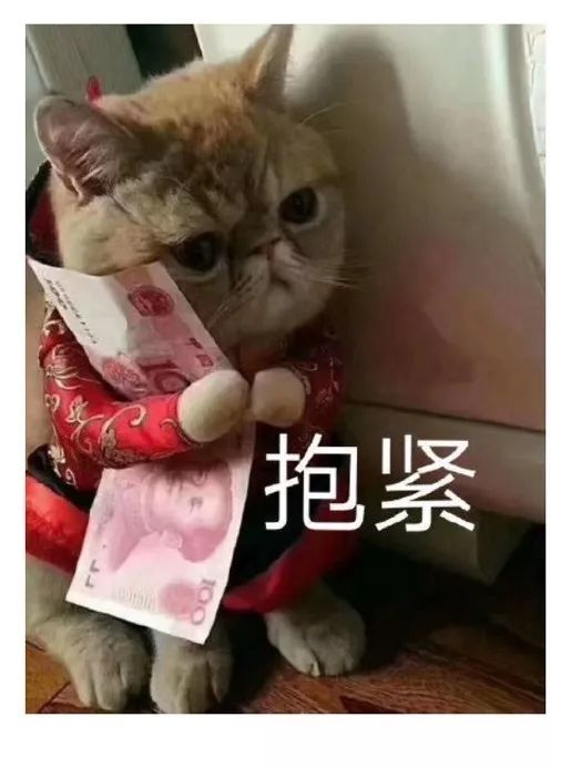 聚财猫最新动态解析，我的观点与看法