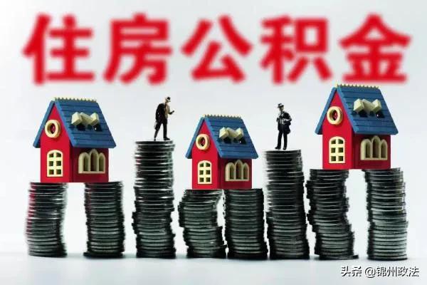 锦州新型肺炎最新动态下的温馨日常观察与记录