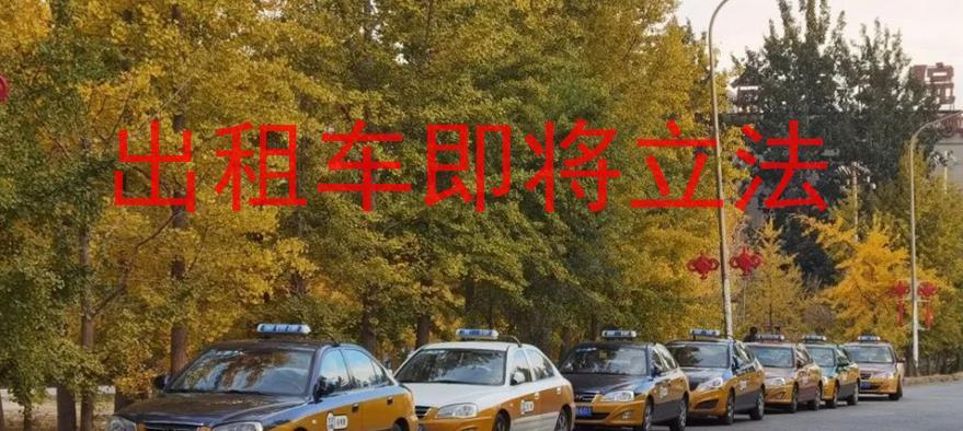 花小猪打车，一路温馨，友情相伴的出行日常