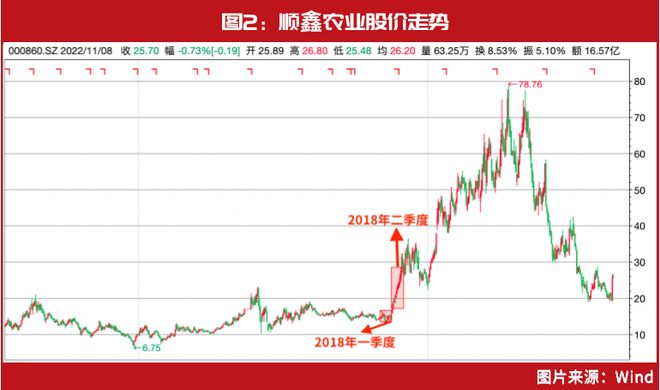 冯柳最新持仓股票揭秘，股市奇遇与温馨日常的投资轨迹