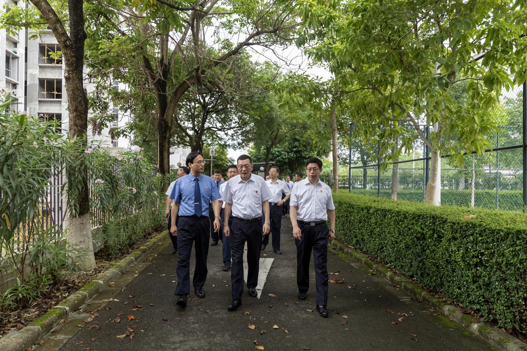 主千秋最新，时代背景下的辉煌印记