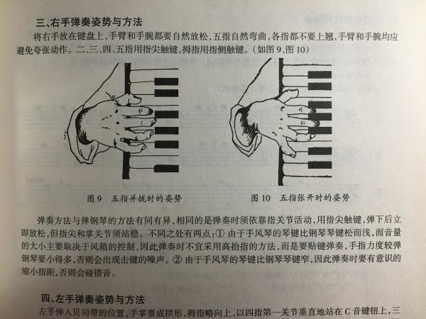 琴的最新章节学习指南，掌握这项技能的秘诀