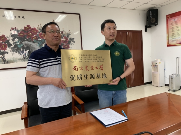 河北中小学最新发展动态概览