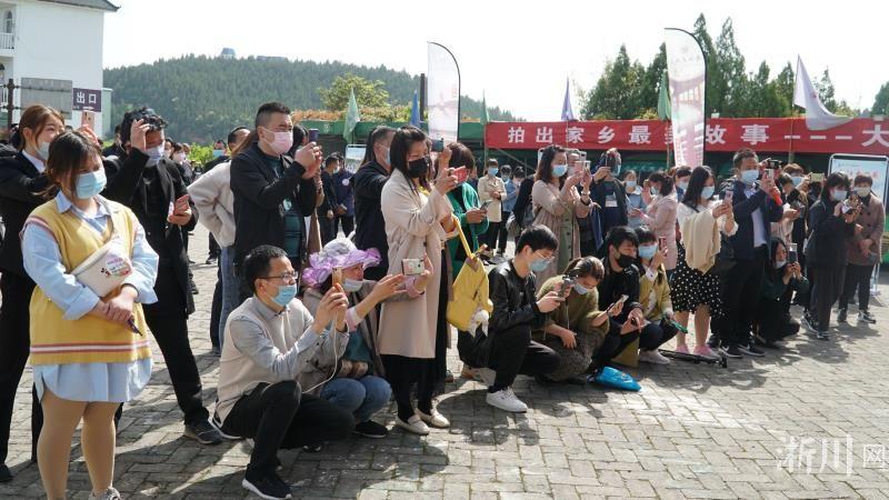 央视通报肺炎疫情最新动态，呼唤共赏自然美景，启程探索之旅
