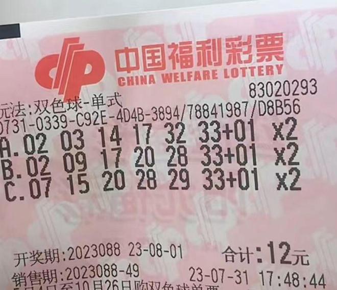 内华达州最新选票揭晓，变化的力量与梦想的舞台