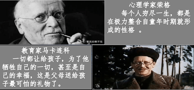 为娼最新章节探讨，警醒与反思的启示