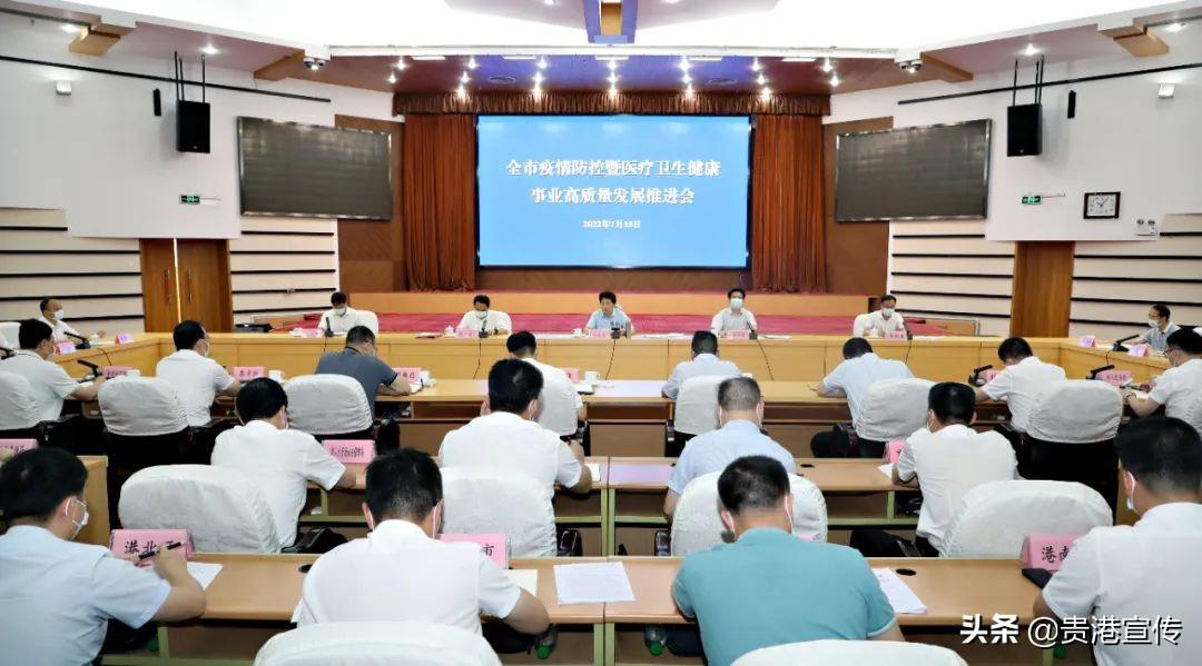 疫情最新情况网站论述分析，监测、分析与应对策略